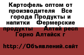 Картофель оптом от производителя - Все города Продукты и напитки » Фермерские продукты   . Алтай респ.,Горно-Алтайск г.